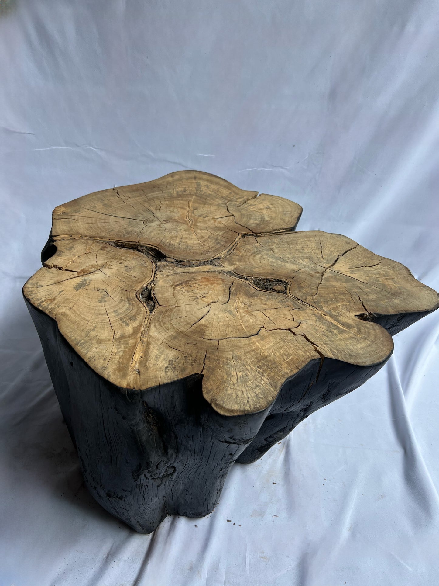 Mesita de una pieza de Laurel de la India Shou Sugi ban