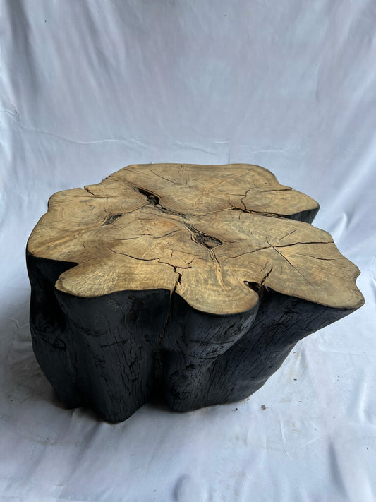 Mesita de una pieza de Laurel de la India Shou Sugi ban